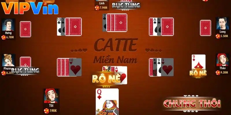 bài catte